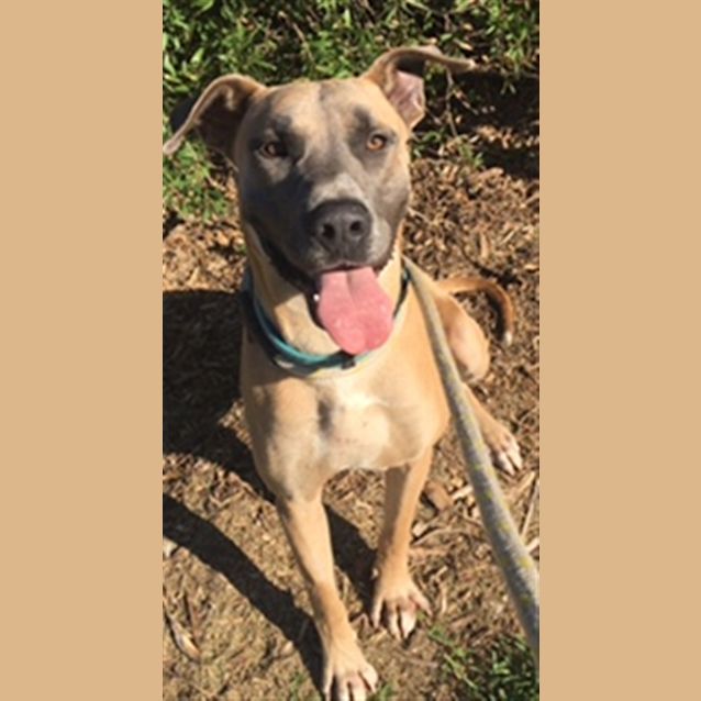Photo of Atticus