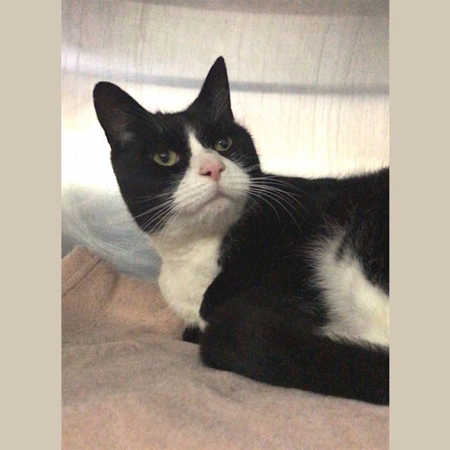 Photo of Sparky