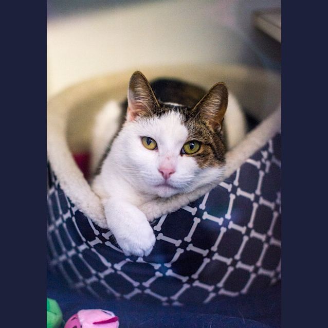 Photo of Billy