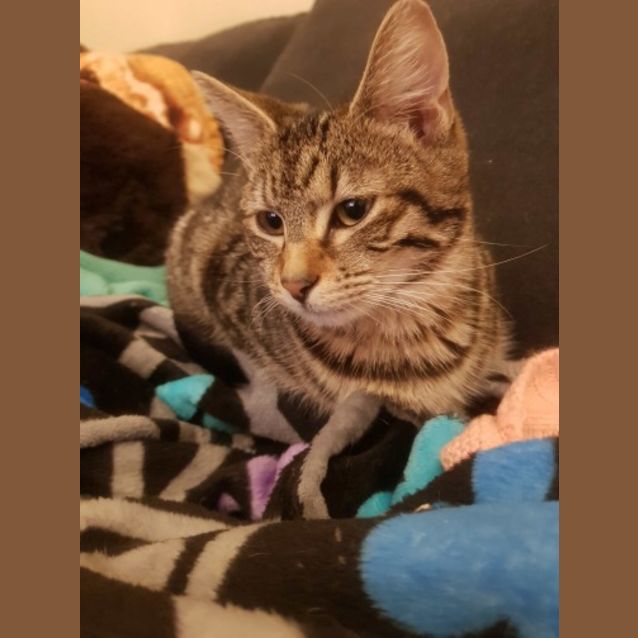 Photo of Kyah 