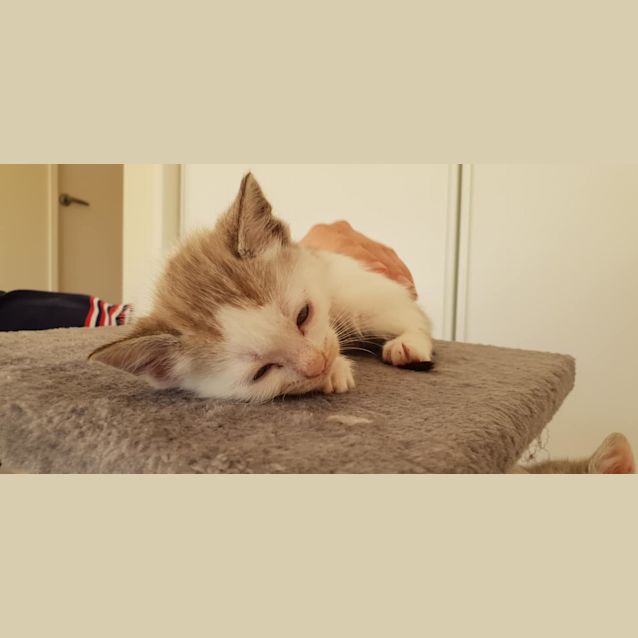 Photo of Willa