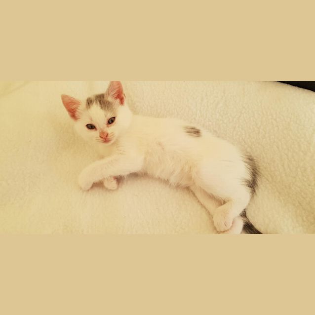 Photo of Wilma 
