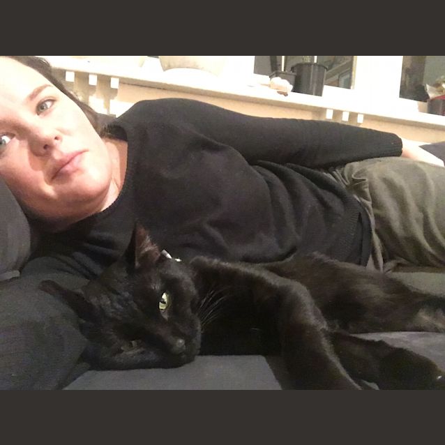 Merlin the magic black cat! - Male Domestic Short Hair Cat in VIC - PetRescue Merlin the magic black cat! - Male Domestic Short Hair Cat in VIC - PetRescue