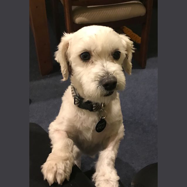 Photo of Mickey 