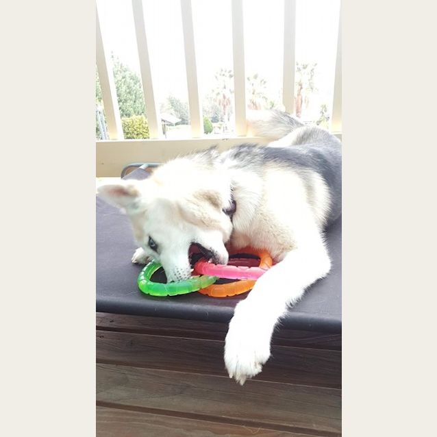 Photo of Ayla