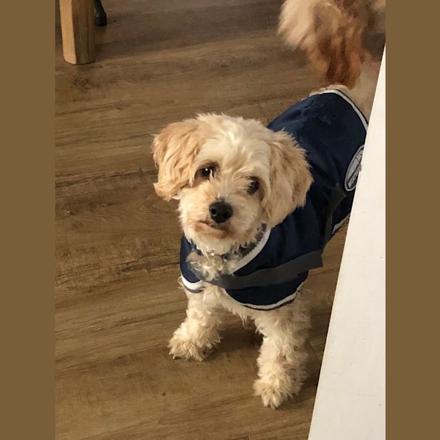 Photo of Sugar