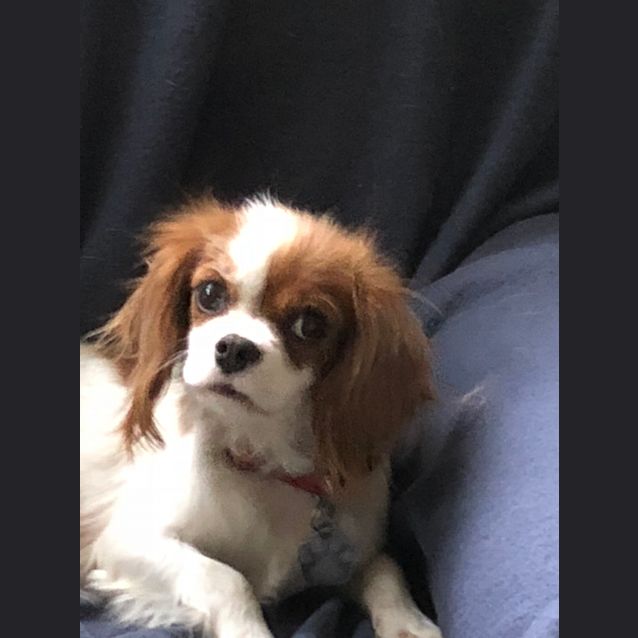 Photo of Bernadette
