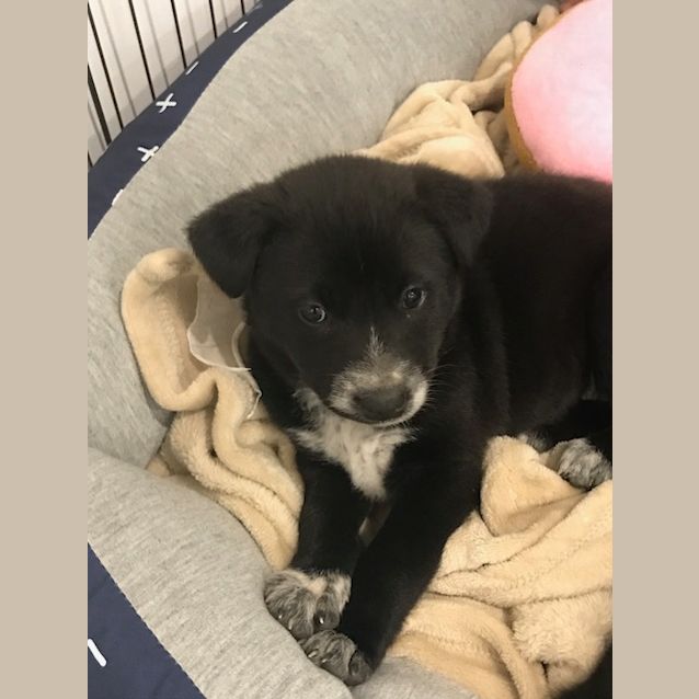 Photo of Ellie 
