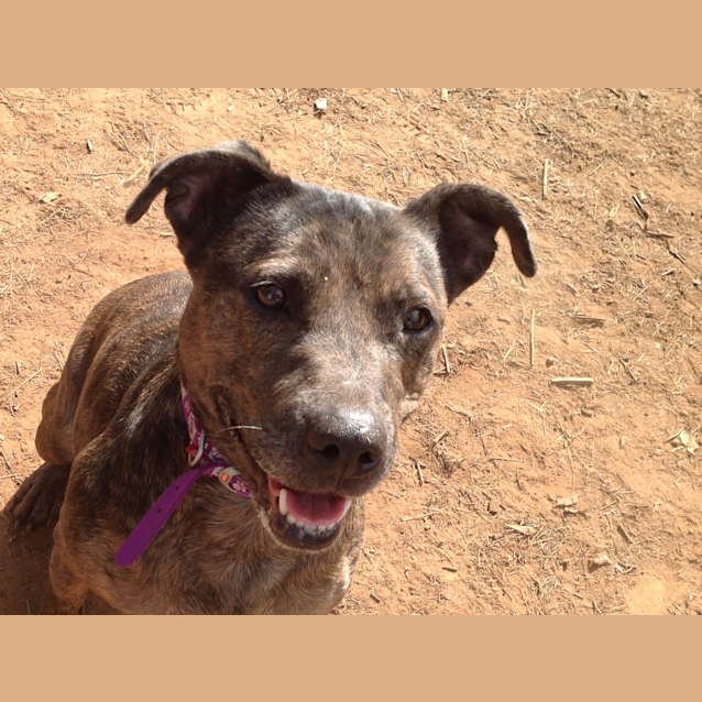 Photo of Sally
