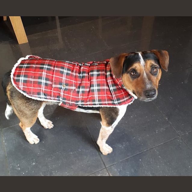 Photo of  Boof **On Trial**