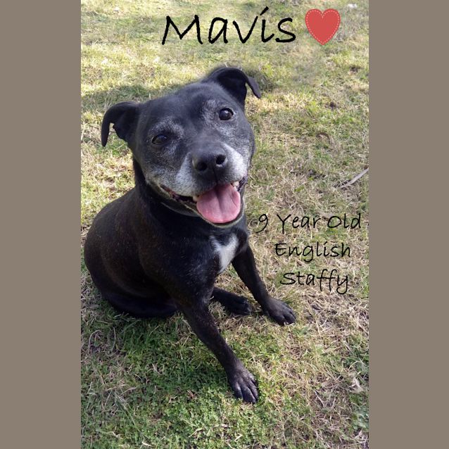 Photo of Mavis