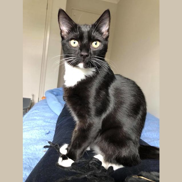 Photo of Bertie