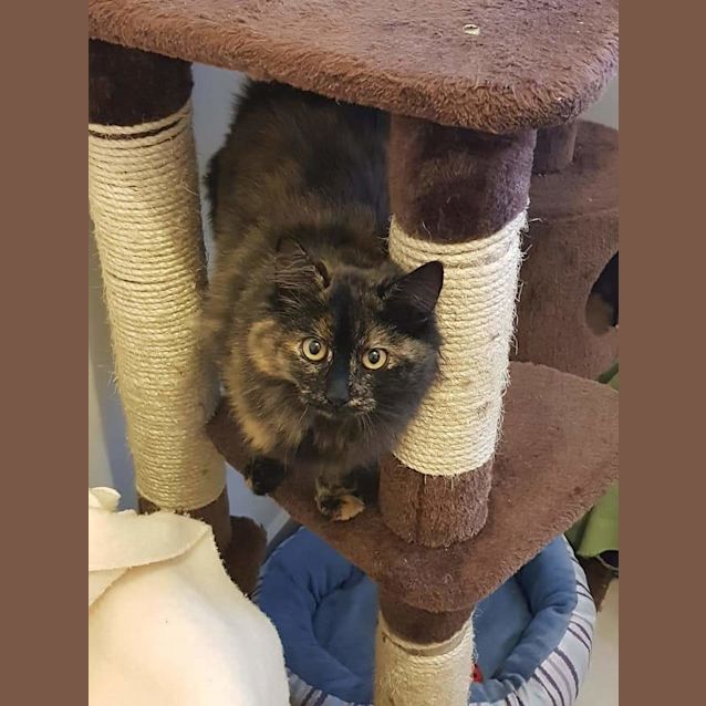 Photo of Sophie