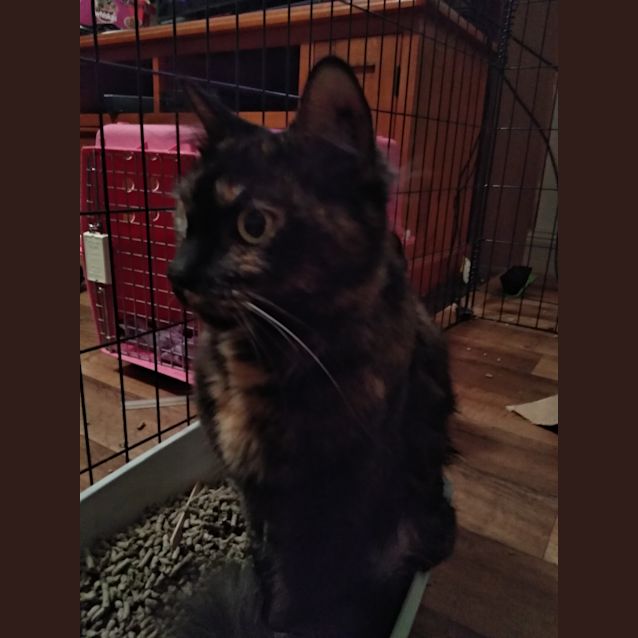 Photo of Mia