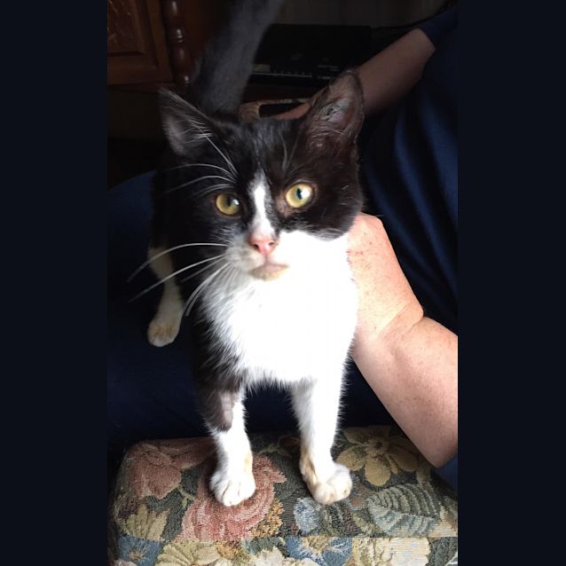 Photo of Tickles