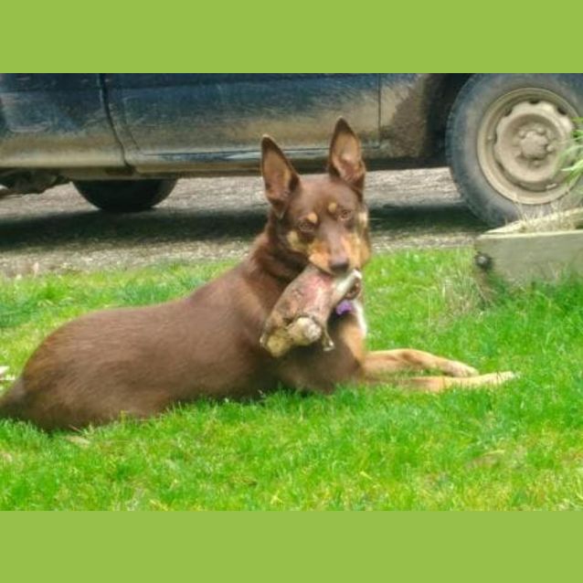 Photo of Skye