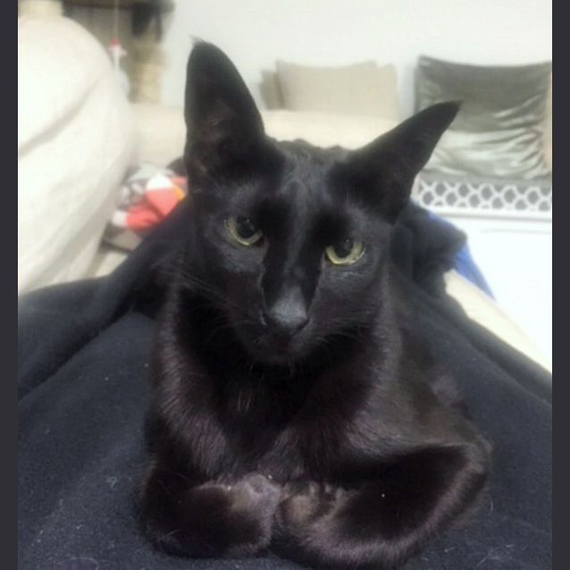 Photo of Blush & Echo