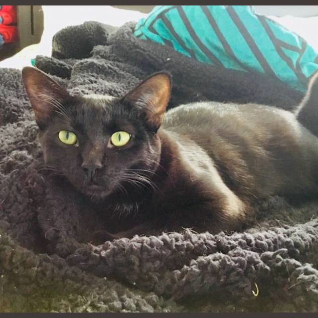 Photo of Tabitha