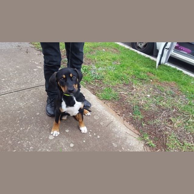 Photo of Loki **On Trial**