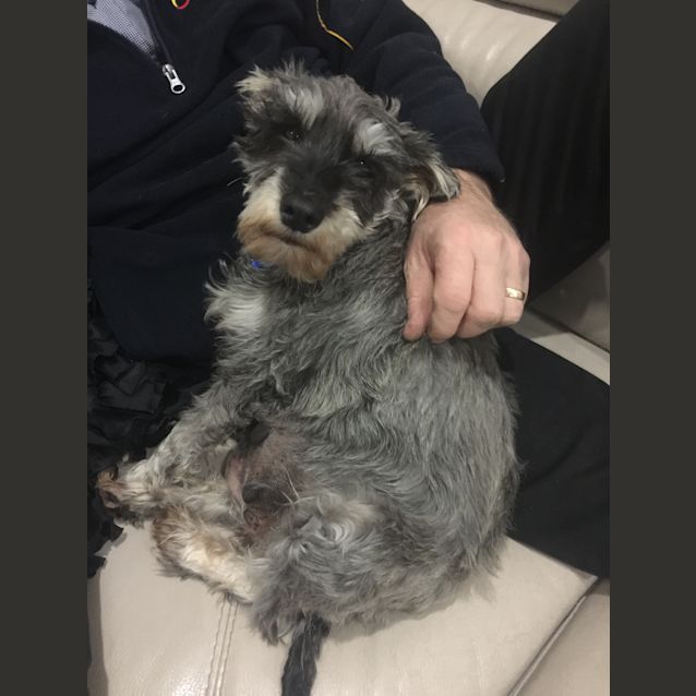Photo of Milo
