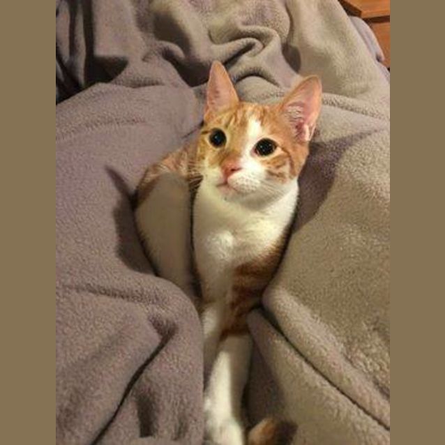 Photo of Ashlen 