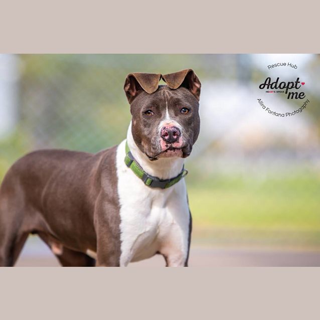 Photo of Zeus (Pcc 429)