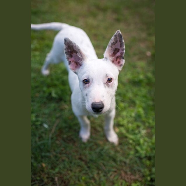 Photo of Finn