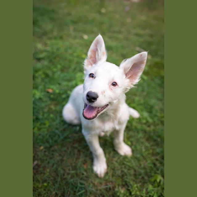 Photo of Buckley