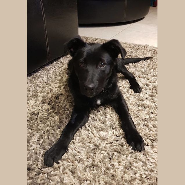 Photo of "Bindi"
