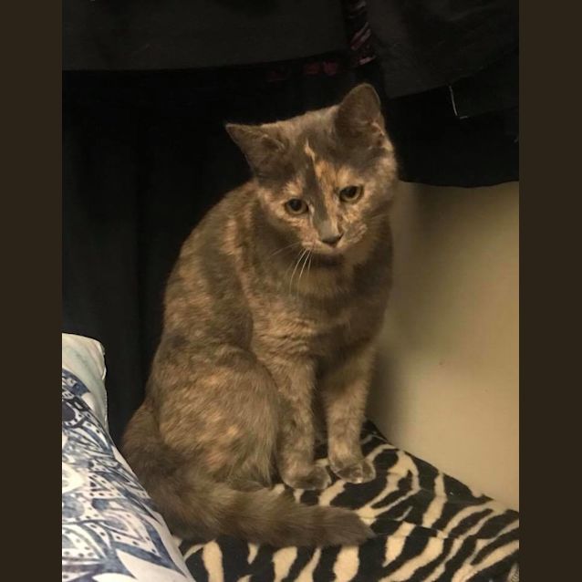 Photo of Priscilla 