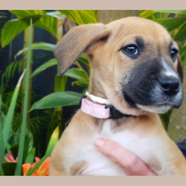 Photo of Sally