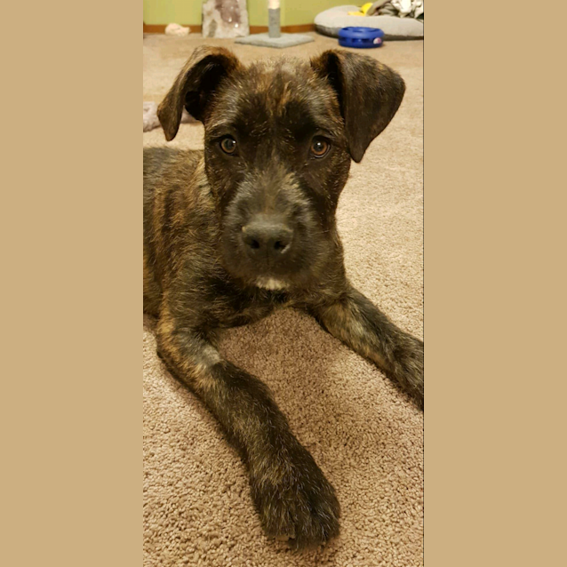 Photo of Smee