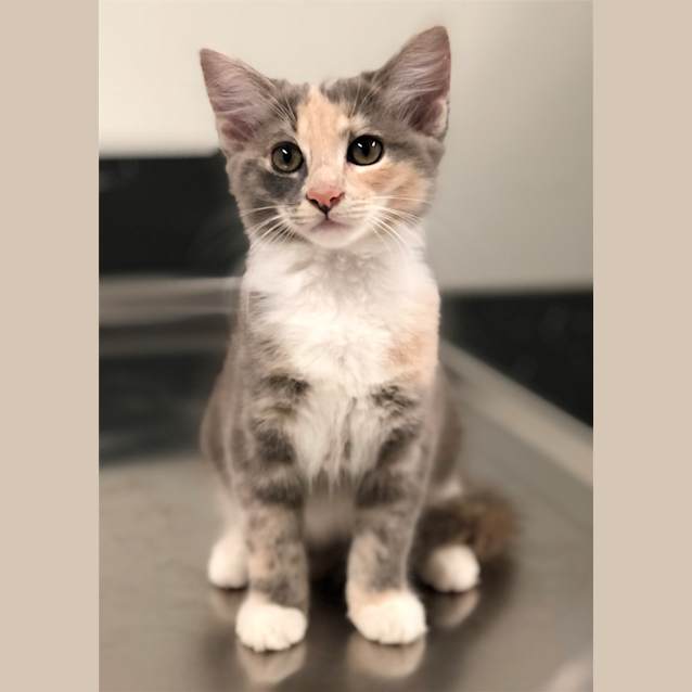 Photo of Sally