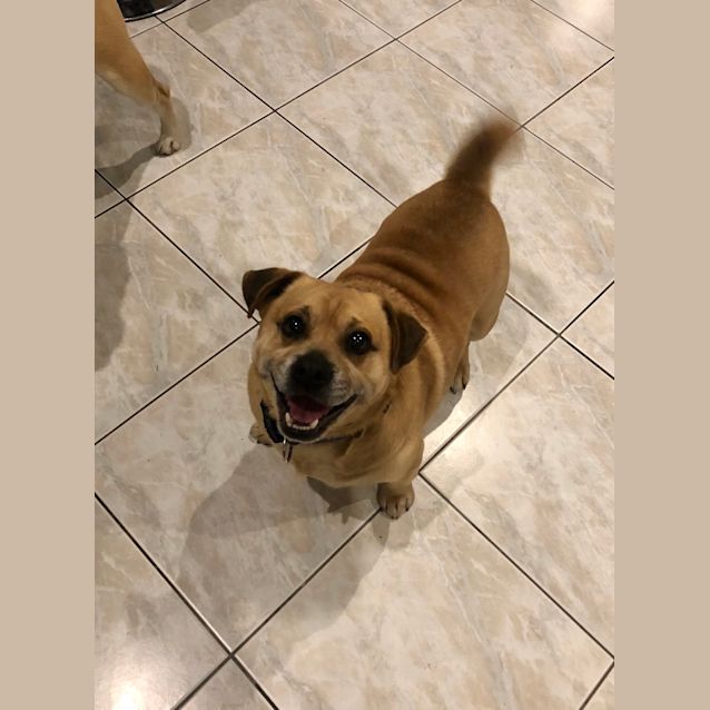 Photo of Loveable Norman 