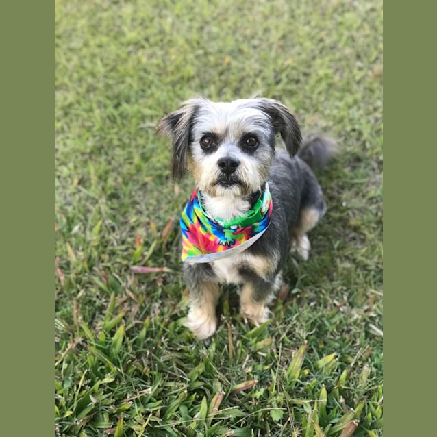 Photo of Jacob 