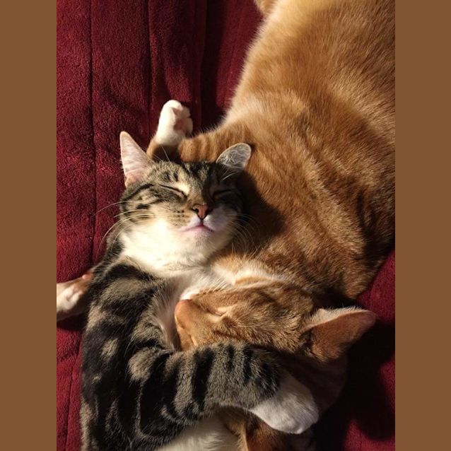 Photo of Cate And George