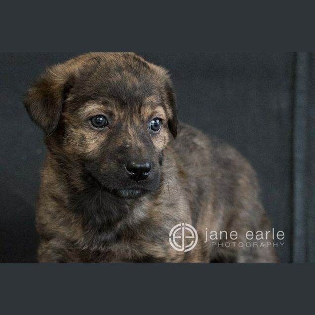 Photo of Polly Db392