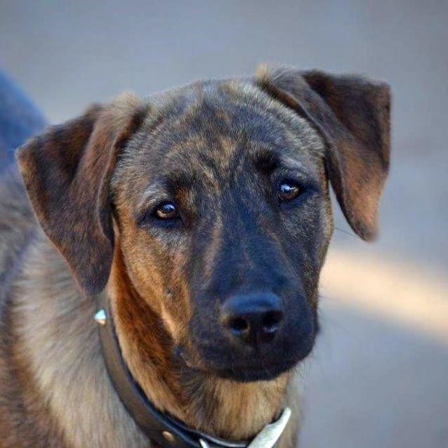 Photo of Rorie   D3934