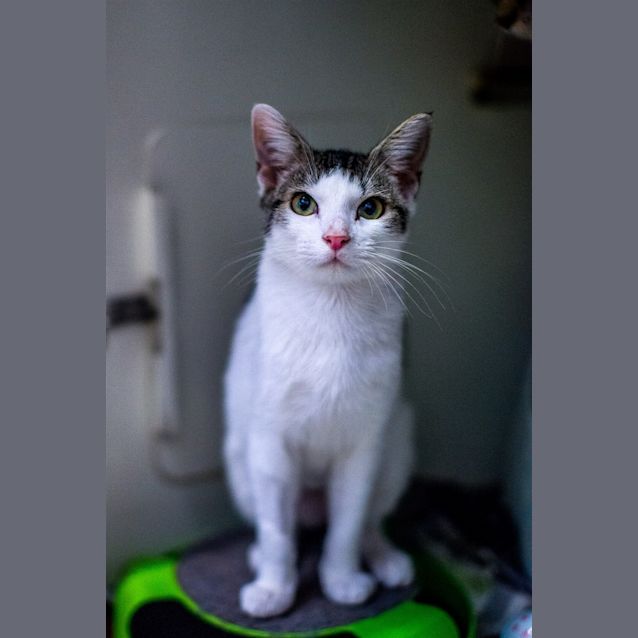 Photo of Zen