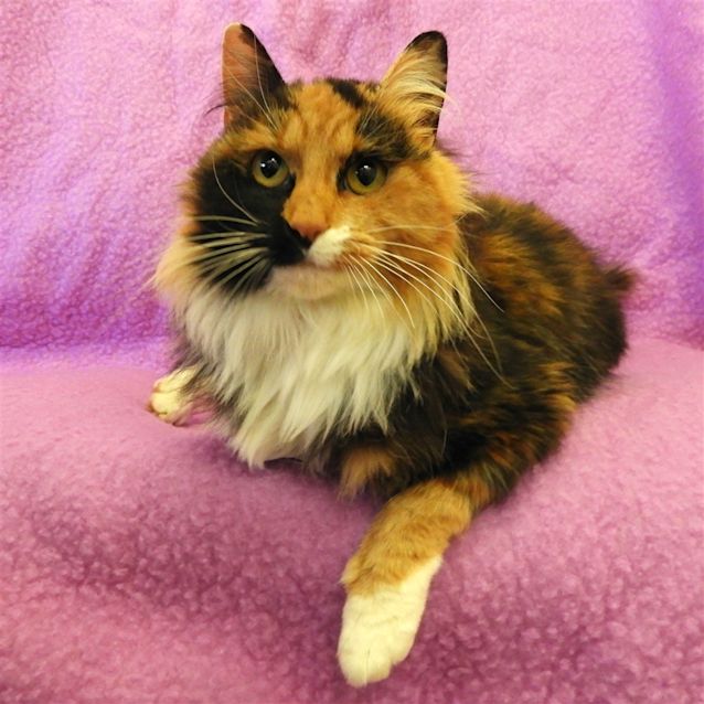 Photo of Abby