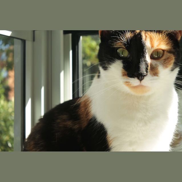 Photo of Hazel