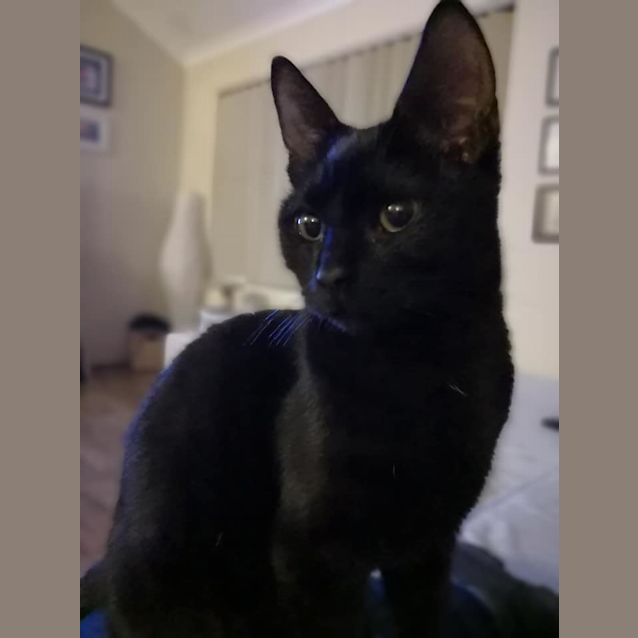 Photo of Dora C1438   On Trial 08/08/18