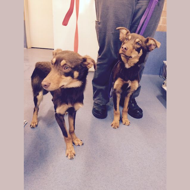 Photo of Bert And Ernie