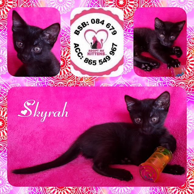 Photo of Skyrah