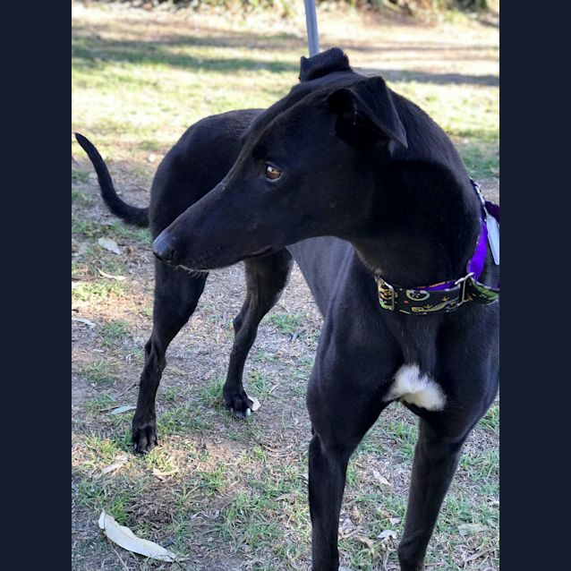 Photo of Stanley