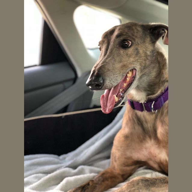 Photo of Jed (In Foster 5 Aug Canberra)