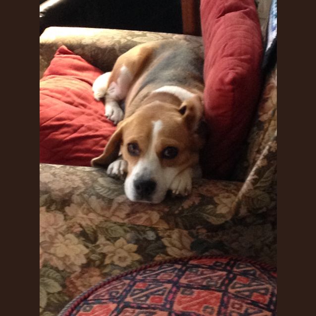 Photo of Mandy