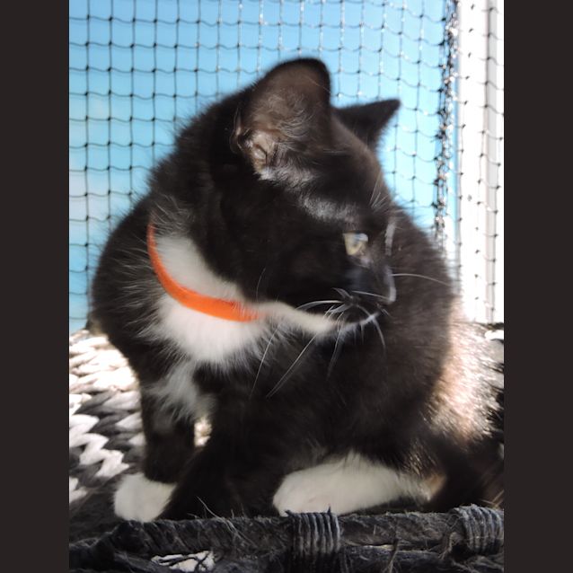 Photo of Zac @ Petstock Marsden Park