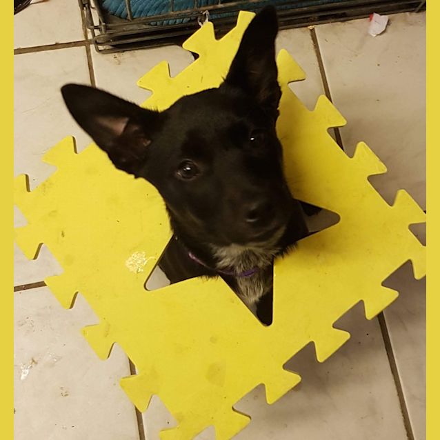 Photo of Ellie