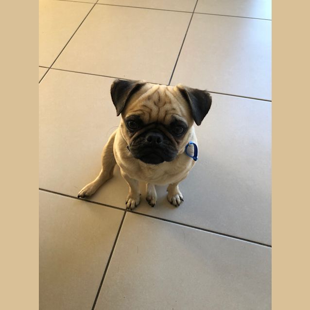Photo of Tiny